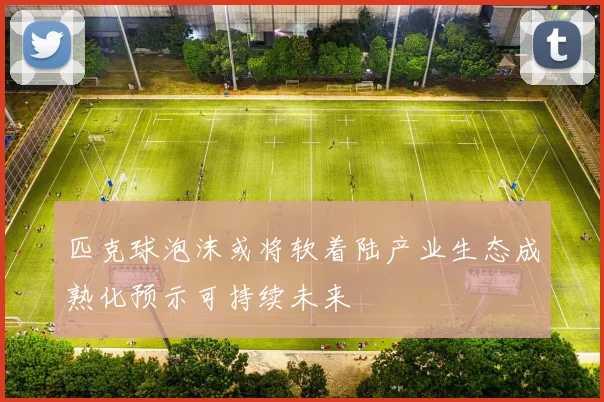 匹克球泡沫或将软着陆产业生态成熟化预示可持续未来