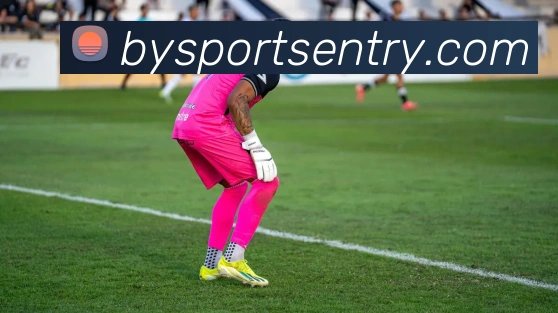 必一运动平台生态图